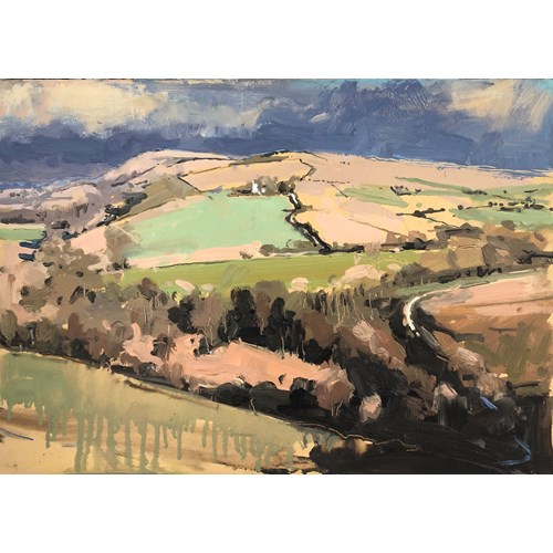 Sunlight on South Downs way, 2025